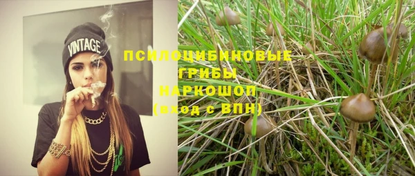 эйфоретик Алексин
