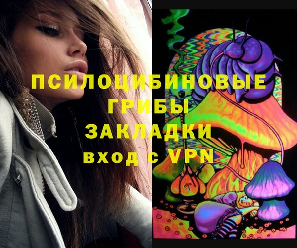 эйфоретик Алексин